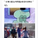 다이어트가 요정에게 미치는 영향(요아정아님)