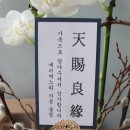 남자친구네 부모님께 인사 드리고 온 후기 제이미플레르 서양난 압구정 공주떡 흑임자 인절미 선물추천