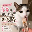 3플러스 | 편식냥도 잘 먹은 마싯츄 알티지 오메가3 플러스 내돈내산 후기