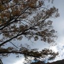 지경부동산공인중개사사무소 이미지