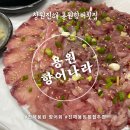 용원향어나라
