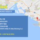 하와이비치 이미지
