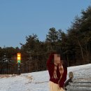 대관령 목장길펜션 | [강원도] 설경 명소 대관령 양떼목장과 실버벨 교회, 감성가득 애니포레 여행 리뷰