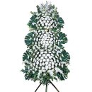 포남2동-12 이미지