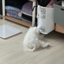 원남로-1 네이버블로그