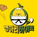 하이킥 태권도장 이미지