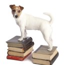 김해동물메디컬센터 이미지