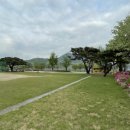 대산초등학교병설유치원 이미지