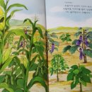 김동훈 농장 이미지