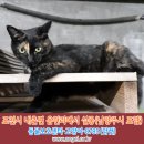 주곡로 이미지