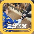 모산목장 | 파주 아기랑 실내 체험 모산목장 1인 하루 28000원