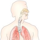 동양안경원 이미지