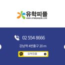 필리핀어학연수 12주 만에 아이엘츠 6.5! 파인스어학원 실후기 공개