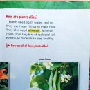 2-3 Plants are living things 이미지