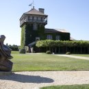 빈야드10(vineyard10) 이미지