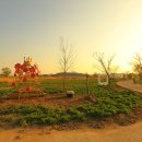 낙동강레일파크 이미지