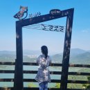 수원지민박 이미지