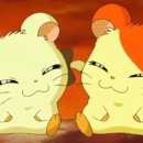 KPGA골프아카데미 이미지