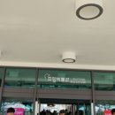 조명박물관 티스토리