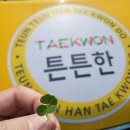 튼튼한 용인대 태권도장 이미지