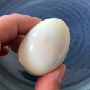 순천청계농장 이미지