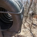 금탑주유소 이미지