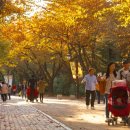 서울네오예술단 한국경제