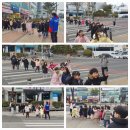 용인대 아리랑 태권도장 이미지