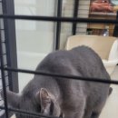 호텔이냥 이미지