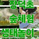 행복한숲생태교육연구소