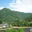 소백산신선펜션&오토캠핑장민박 | [강원도 영월군] 영월 약수터 캠핑장