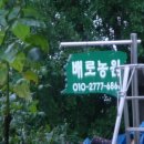 배로농원 이미지