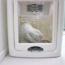 행복한강아지와고양이 | 고양이 강아지 드라이룸 펫 드라이기 렌탈