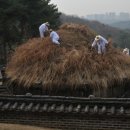 태조 이성계 건원릉, ‘함흥 억새’ 자르는 날! 이미지