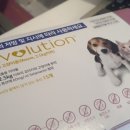 협성가축약품 이미지