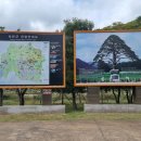 정이품송공원 화장실 이미지