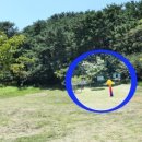 천성국군묘지 이미지