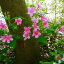 성덕경로당 이미지