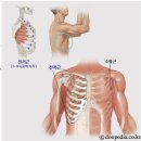 개인레슨 10회 추가 결제한 사람? 나야나 (필라테희 내돈내산)