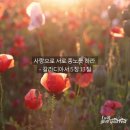 고린도전서 11:1~16 동등한 위치, 그러나 다른 역할 이미지