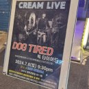 텅 빈 객석의 진동 : 독타이어드(Dog Tired), 그날의 원주 이미지