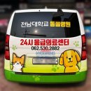 전남대학교 동물병원 이미지