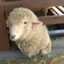 구야목장 이미지