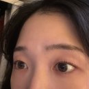 (합)뉴삼일관광 | 요즘 내 근황(대구관광을 곁들인 그리고 서울 맛집)