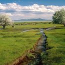 숲속에는 이미지