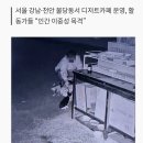 천안 성성동 길고양이 학대 사건 가해자, 유명 셰프였다 이미지