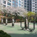 마곡13단지축복부동산공인중개사사무소 | 엠밸리부동산 마곡13단지 힐스테이트마스터의 매력 속으로