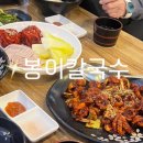 봉이칼국수보쌈 | [내돈내산/일산맛집] 봉이칼국수쭈꾸미보쌈 :: 오픈런 후기와 주차 메뉴 꿀팁 정리