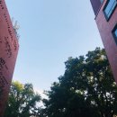 보청기매니저(달성지사) | 결혼이 하고 싶다면? 믿을 수 있는 대전결혼정보회사