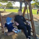 하단동1209 이미지